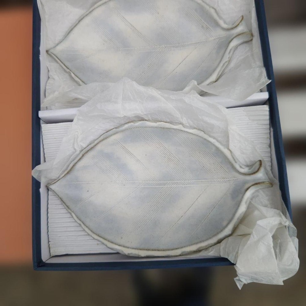 Tachikichi Leaf Plate 5 Set