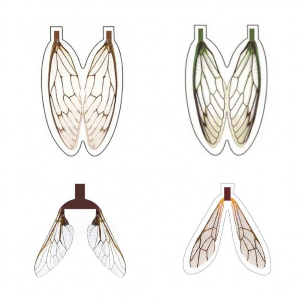 4 Patterns 212pcs Realistic Synthetic Fly Wings  for Trout Lure Tying Materials