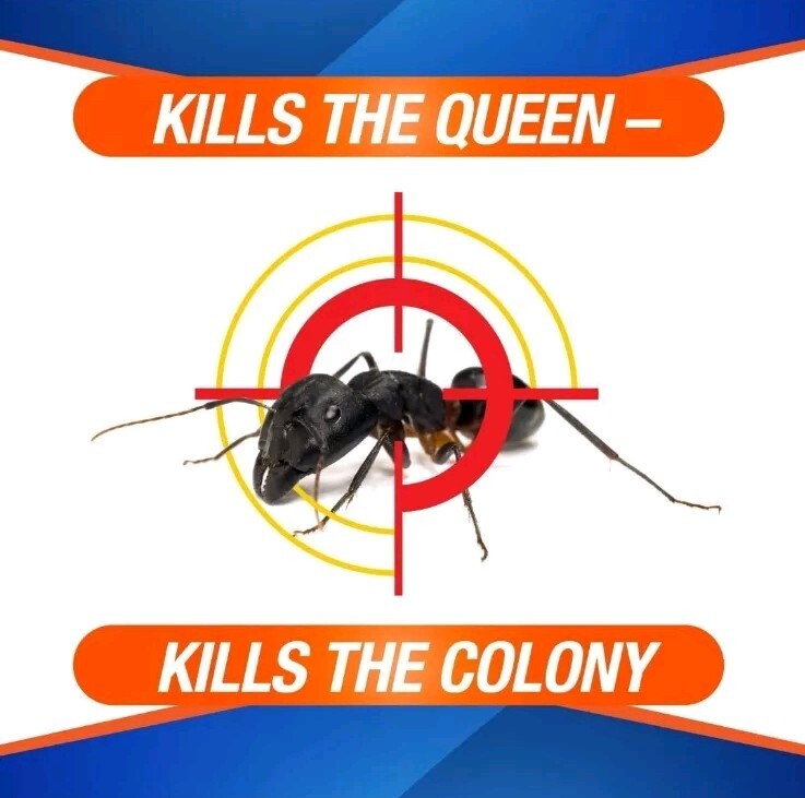 HOMEPLUS Ant Killer - 4 Child-Resistant Bait Stations