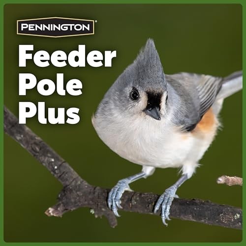 Pennington Feeder Pole Plus Bird Black 5 ft 5 ft,
