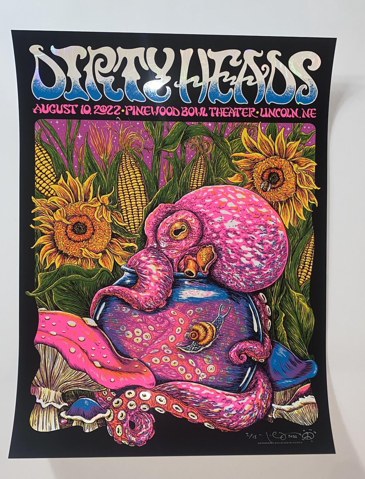 Dirty Heads Poster Lincoln NE 8/10/22 Silkscreen White Swirl Foil S/N Official