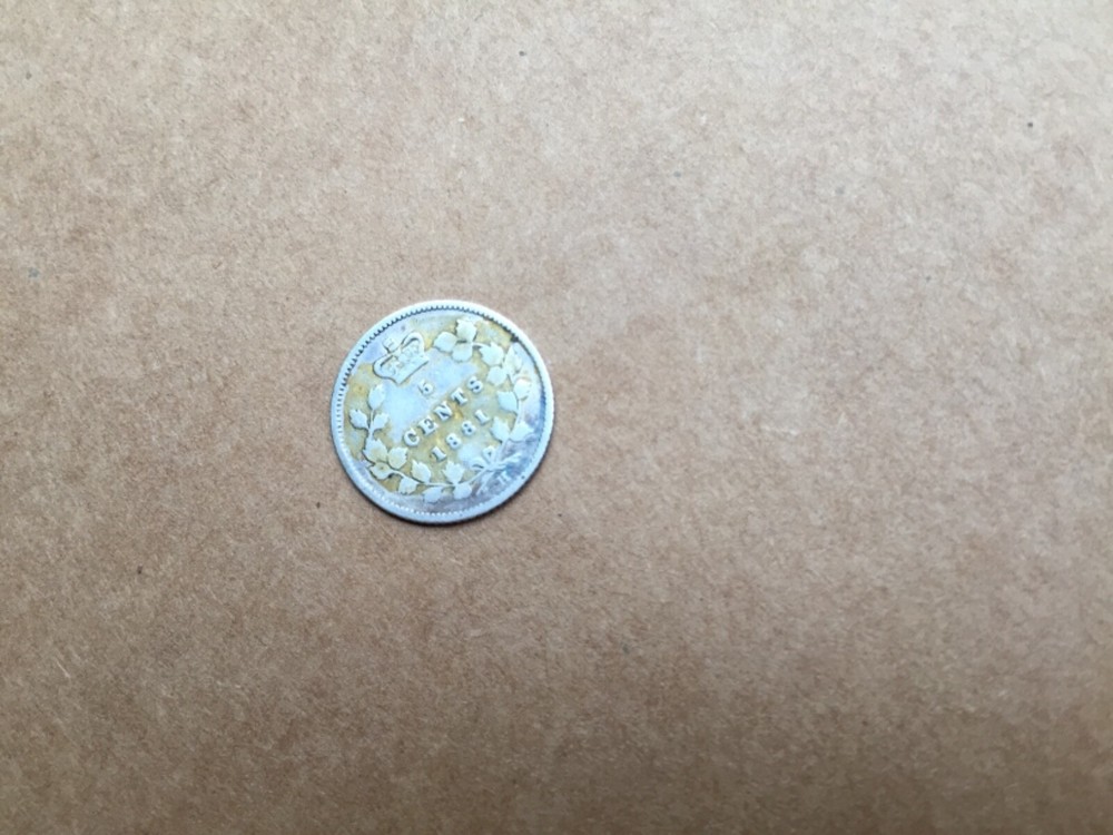 1881 canada 5 cent silver coin nickel