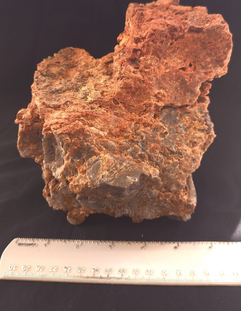 Az Rainbow Petrified Wood