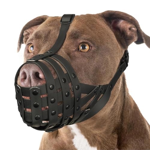 Pitbull Muzzle for Large Medium Sized Dogs to Black M [Snout Cir: 9.75"-11"]