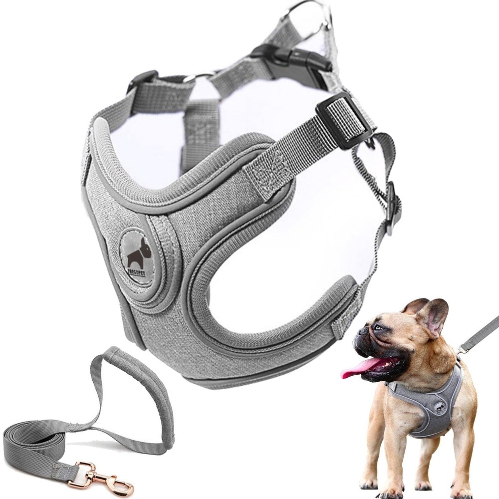 Small Gray Dog Harness Leash Set Reflective Strips Adjustable Step in Vest