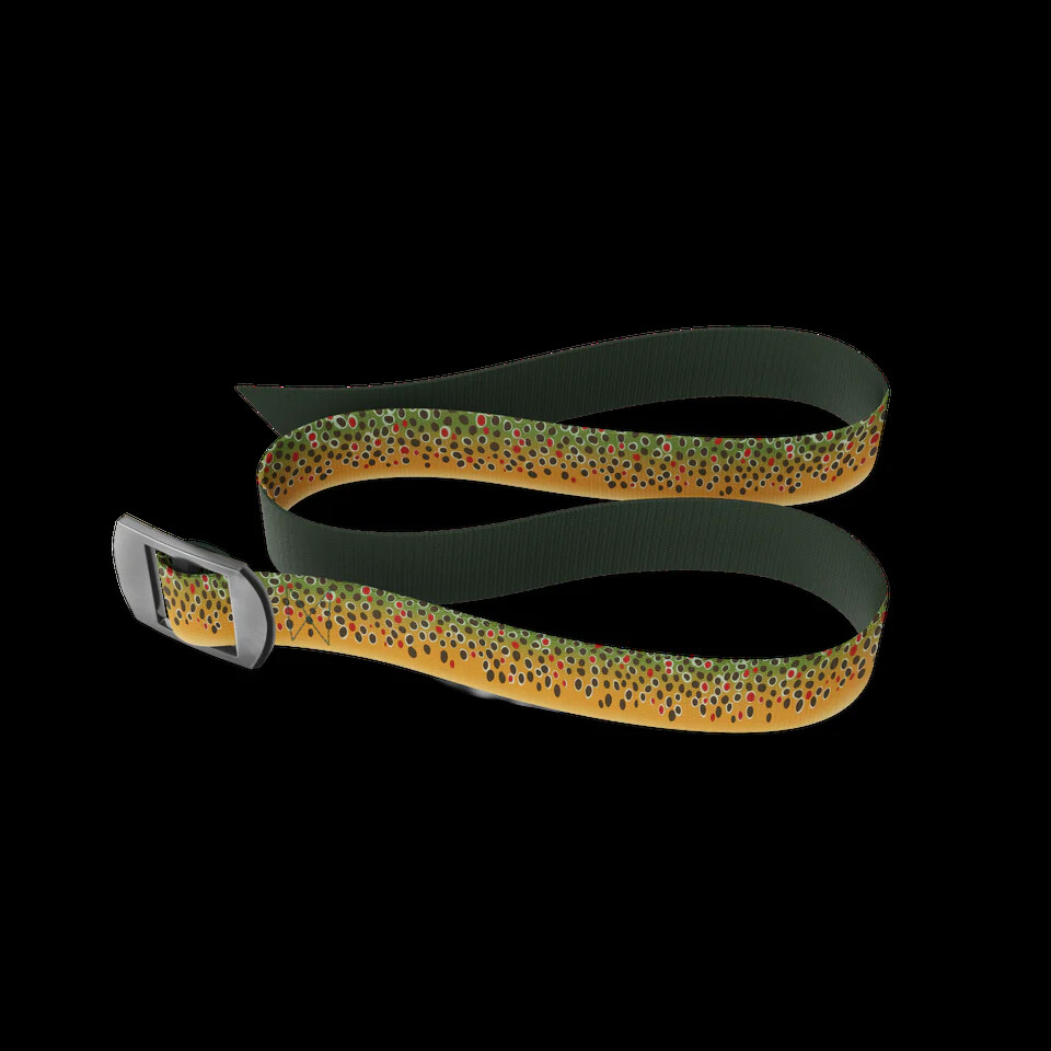 WINGO Basecamp Belt