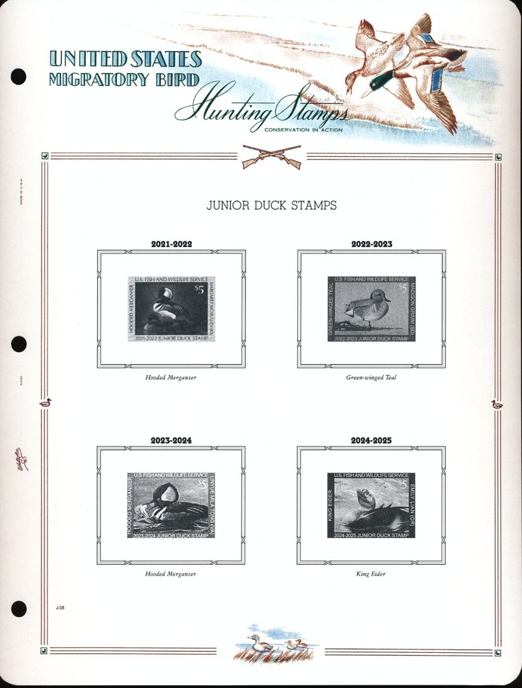 WHITE ACE US Junior Duck Stamp Singles Album Supplement 2021-2024 JD-1