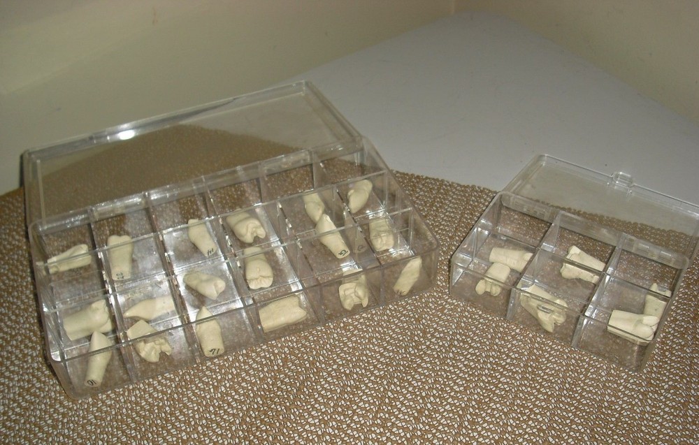 Dental Teeth Preparations for Students and Practicioners - Assorted Preps