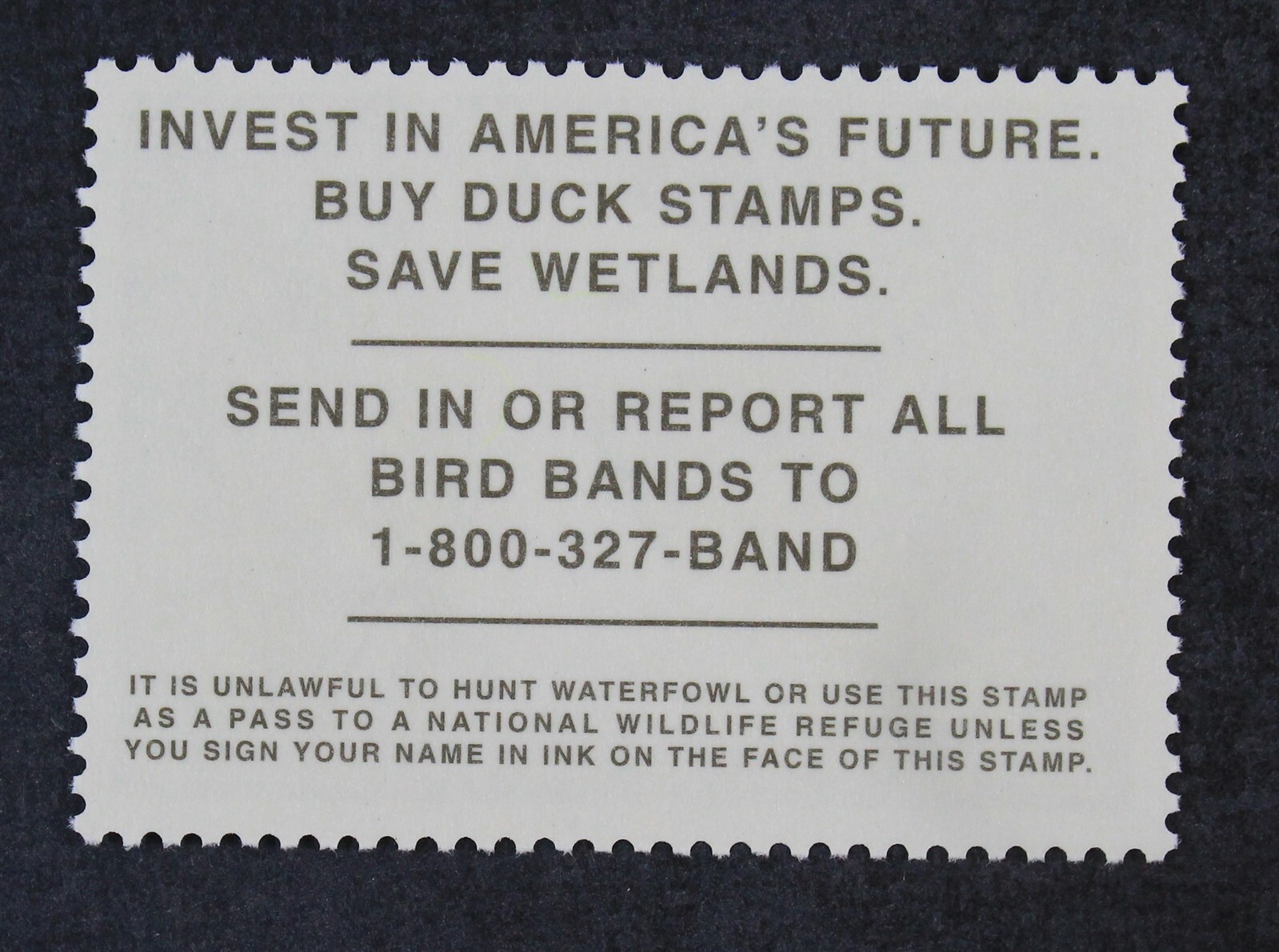CKStamps : US Stamps Scott #RW73 $15 Duck Mint NH OG 2006 $25