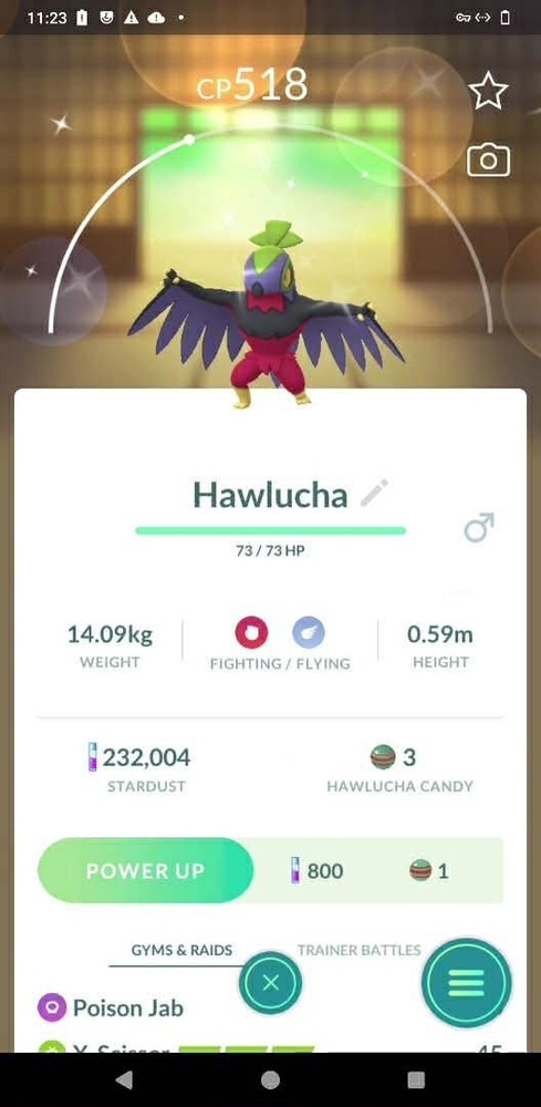 Pokémon Shiny Hawlucha - GO Read description