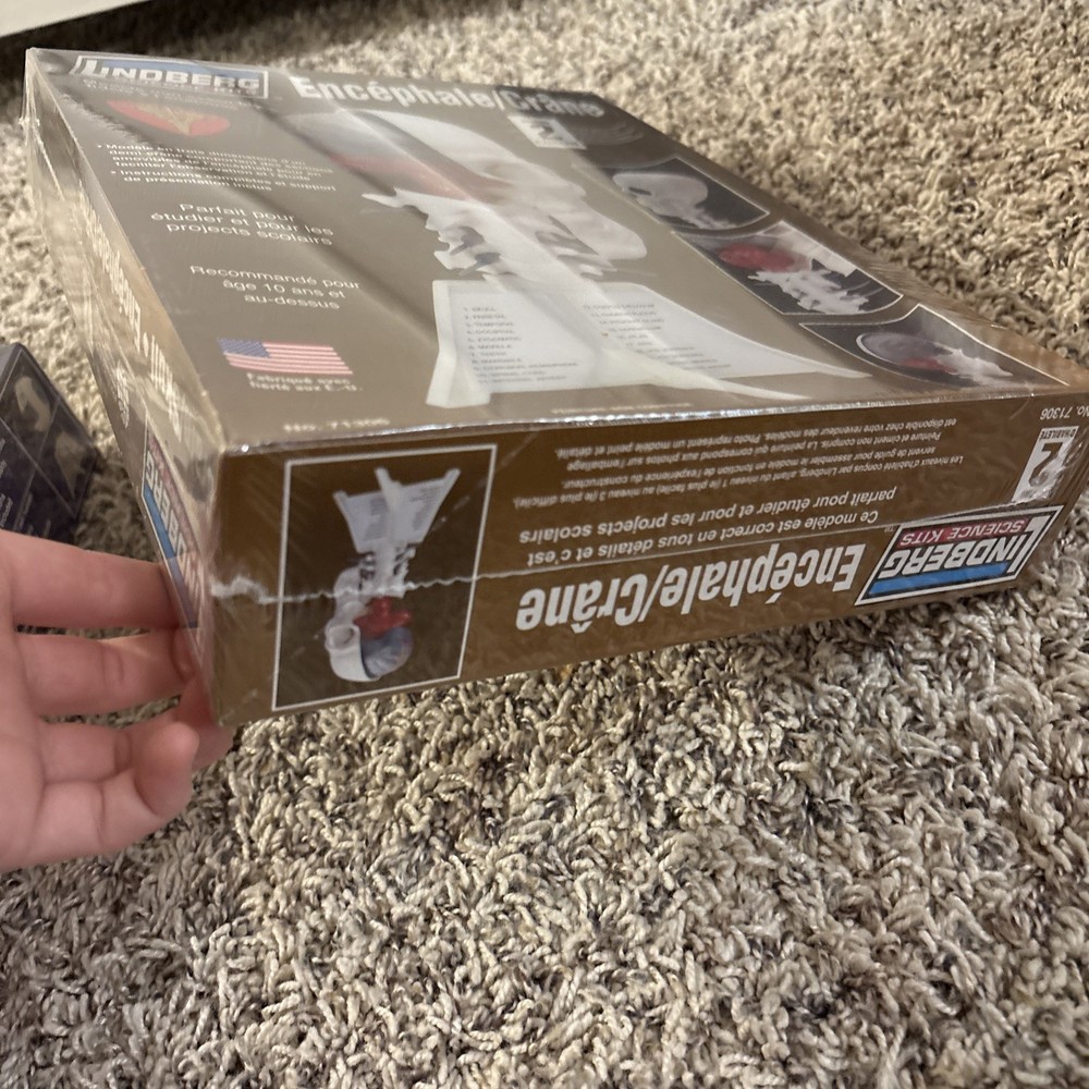 2 Lindberg Model Kits - Brain & Skull, Human Eye,