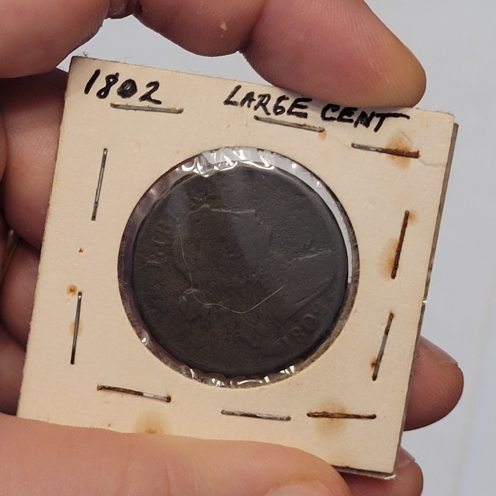 1802 Draped Bust Large Cent with Stems Ungraded Circulated VG