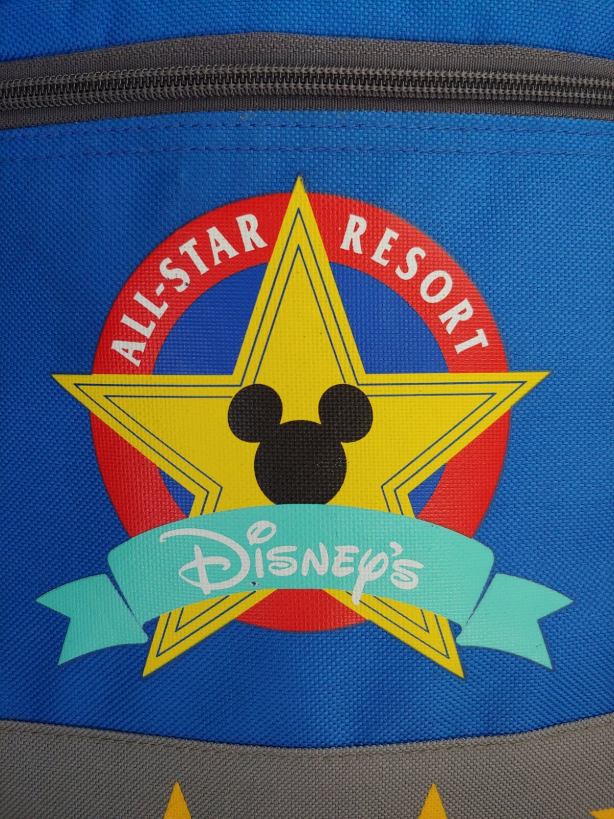 Disneys All-Star Resort Insulated Soft Sided Cooler w/ Shoulder Strap 10×10×6.5"