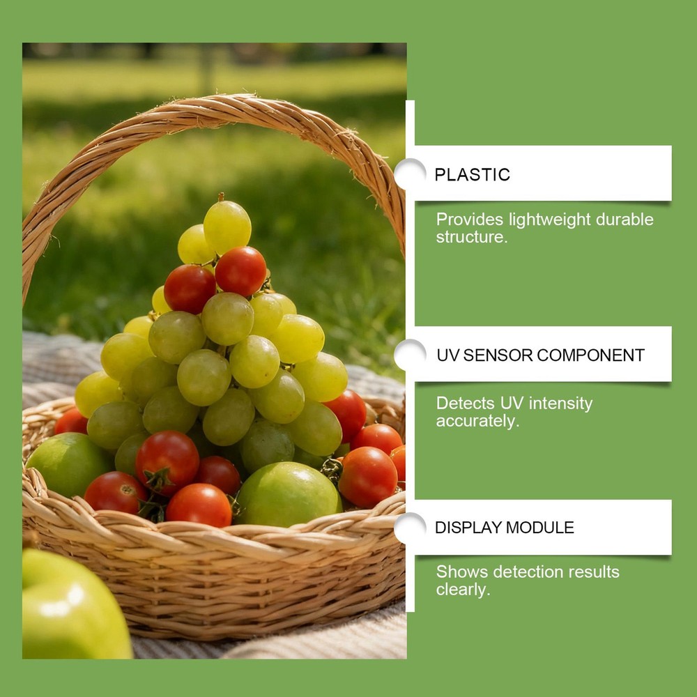 UV Black Light Flashlight Portable UV Flashlight for Vegetables Detector