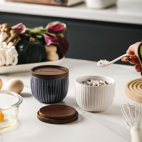 Ceramic Salt and Pepper Bowls: 10 oz Stackable Spice Cellar with Blue & White