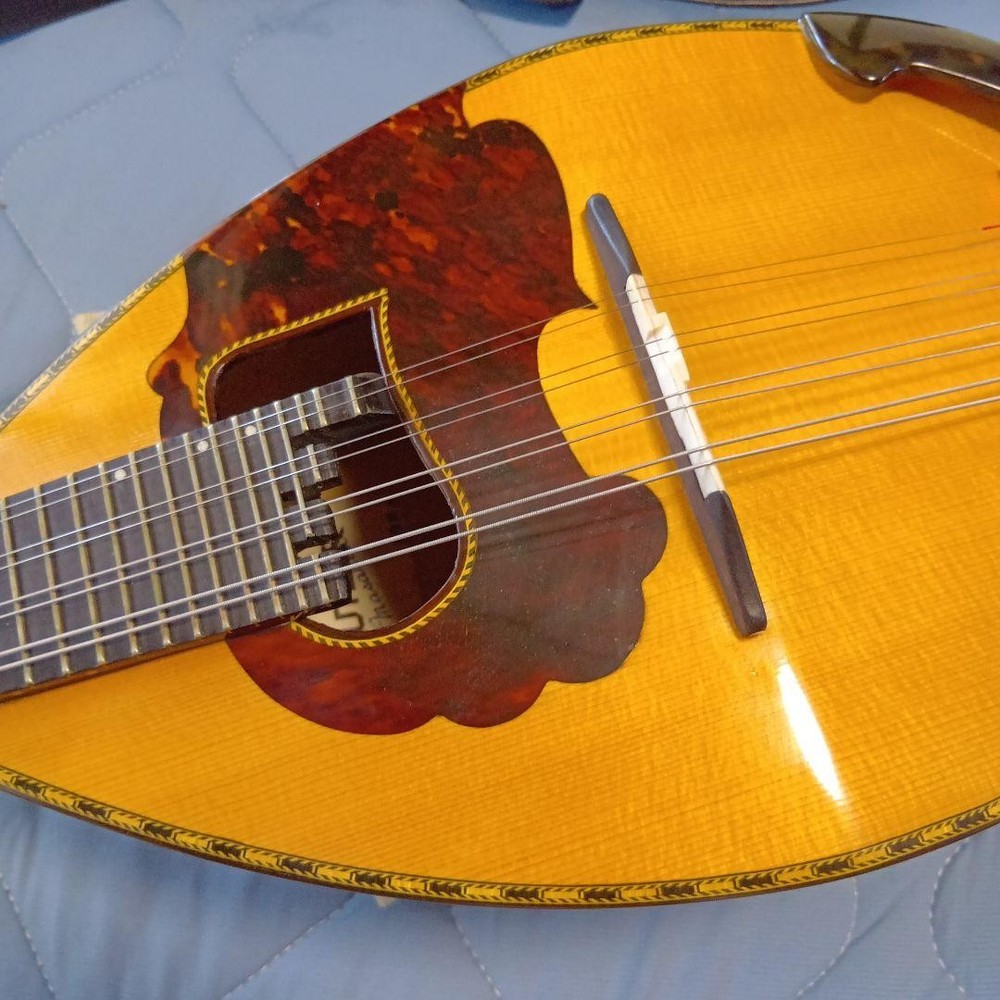 Mandolin 8 string orange with case