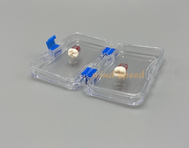 1 Pc Denture False Teeth Membrane Container Hinged Display Box Jewelry Retainer
