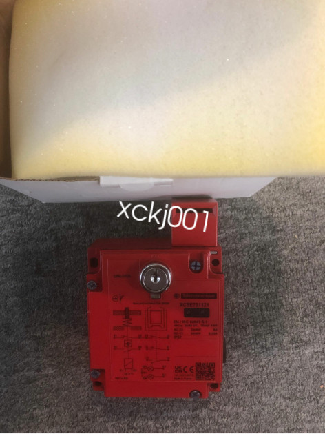 XCSE731121 Schneider PLC Module fedex or DHL