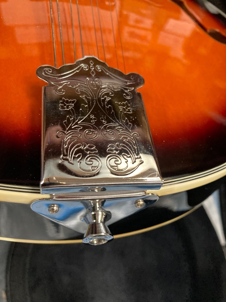Taurus Mandolin TM-001 (Damaged case)