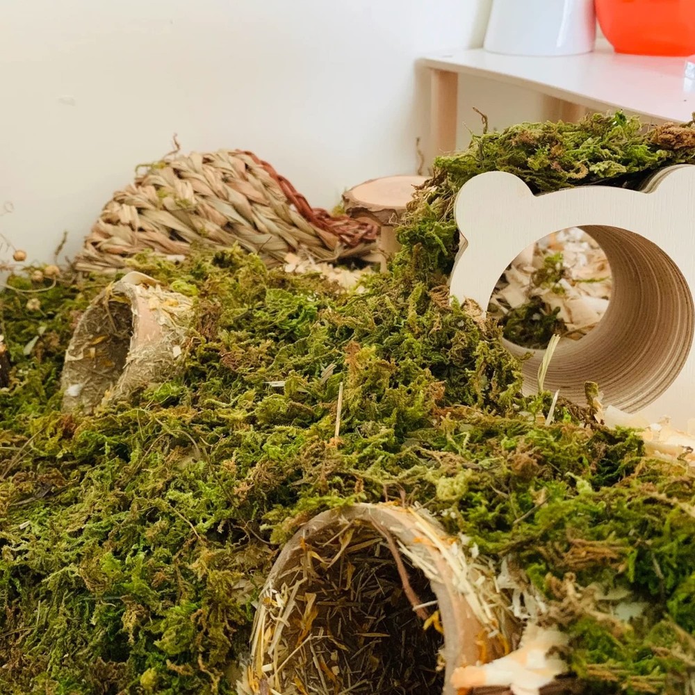5L Forest Moss For Hamster Bedding Nesting Syrian Gerbil Cage Accessory