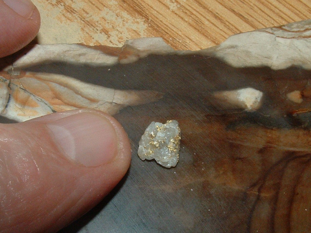 GOLD QUARTZ SPECIMEN .33 GRAM BLUE MTNS OREGON GOLD