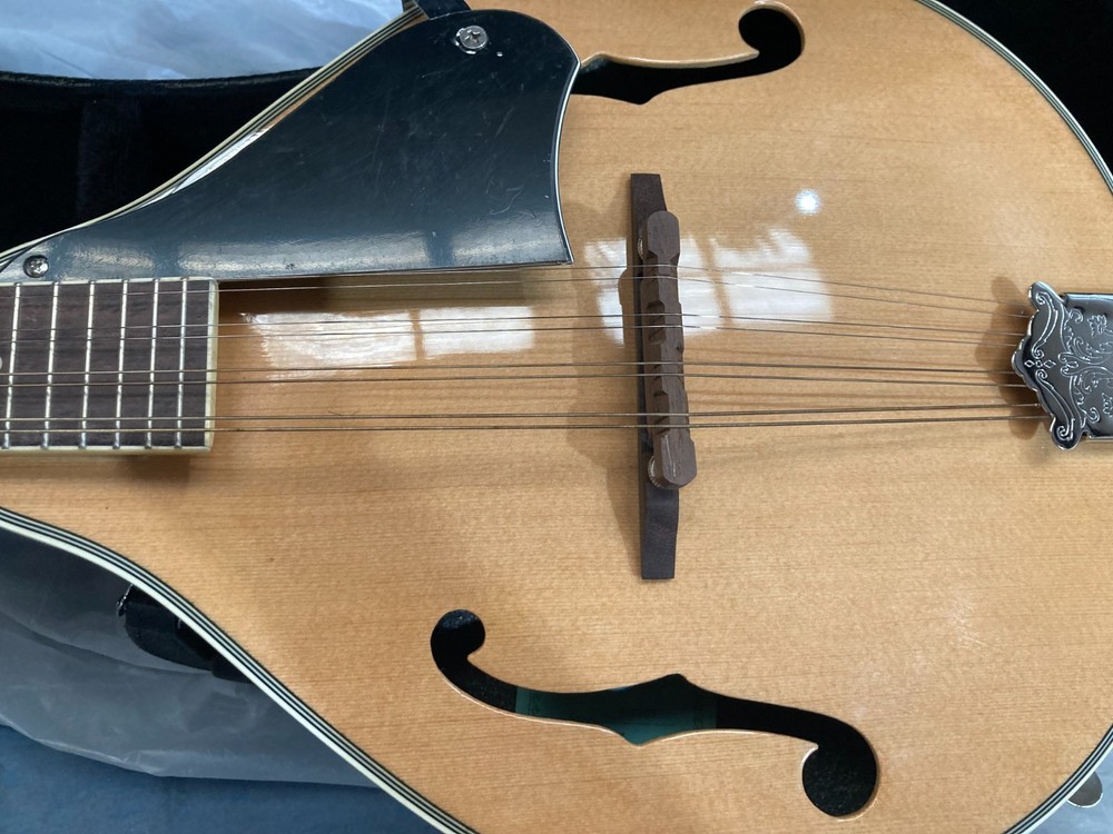 Taurus Mandolin TM-003 (Damaged case, cosmetic damage)