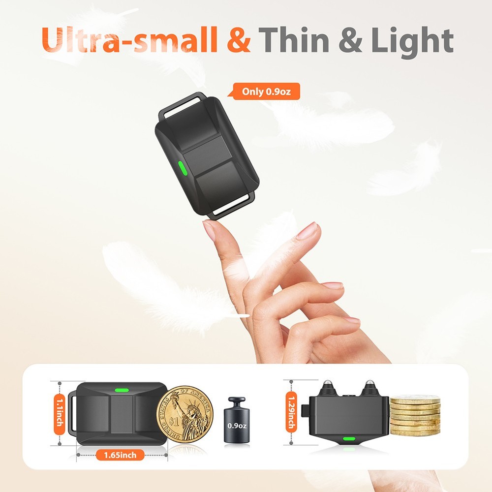 Small Dog Training Collar 3000FT Remote Rechargeable Shock Waterproof Trainer