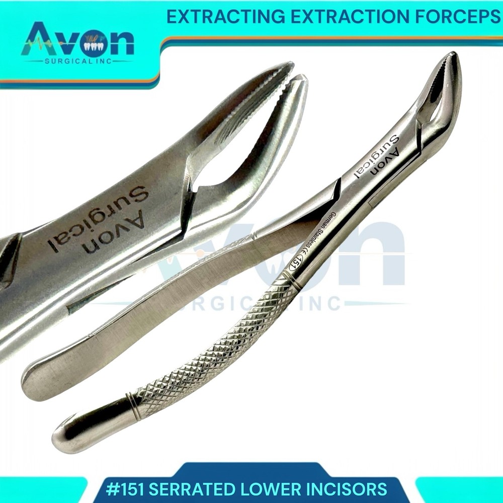 German Dental Extracting Forceps #150 151 & 23 Dental Extraction Instruments