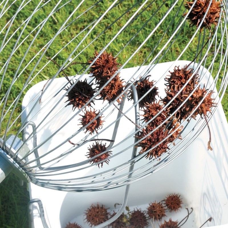 Nut Wizard Gathers, Collects and Picks Up Nuts and Seeds, Available in 3 Sizes