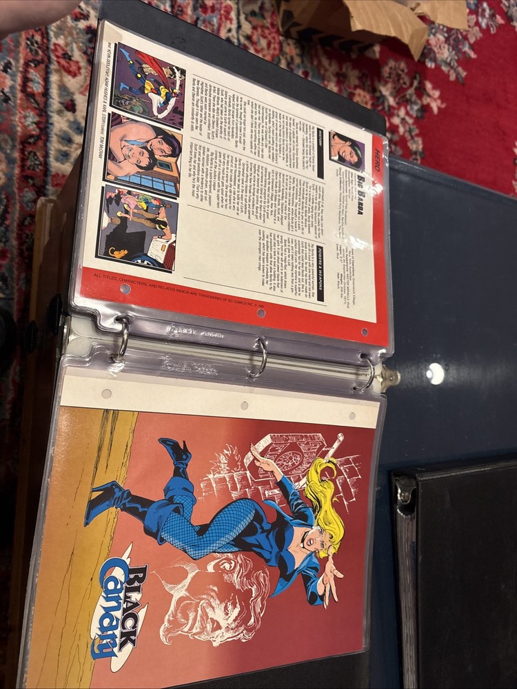 Comic Book Bio Binder