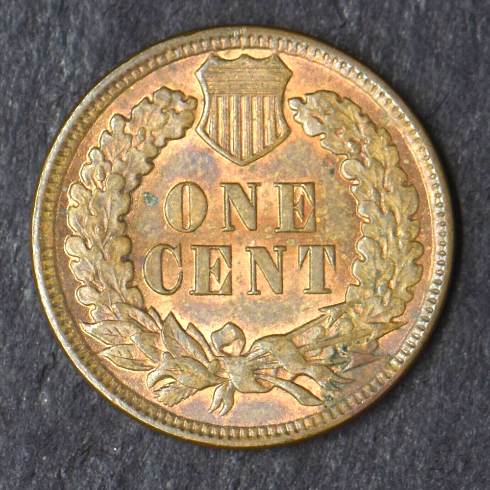 1895 "HIGH GRADE" Indian Head Cent - COINGIANTS -