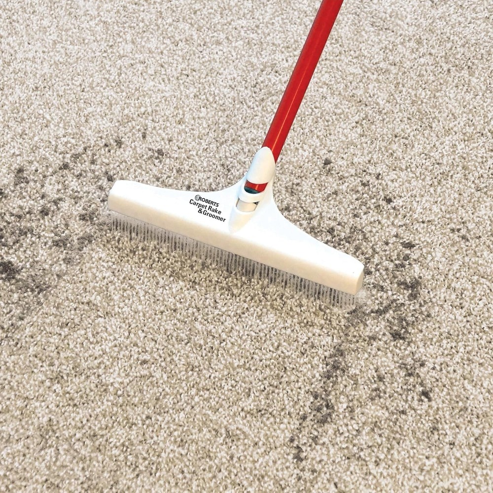 Lightweight Carpet Rake with 12" Head and Long 51" Handle - Compact Solution