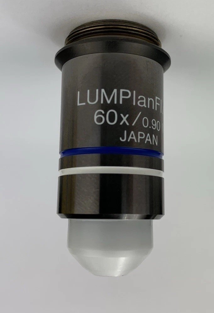 Olympus Microscope Objective LUMPlanFL / IR 60x W Water Immersion RMS Infinity