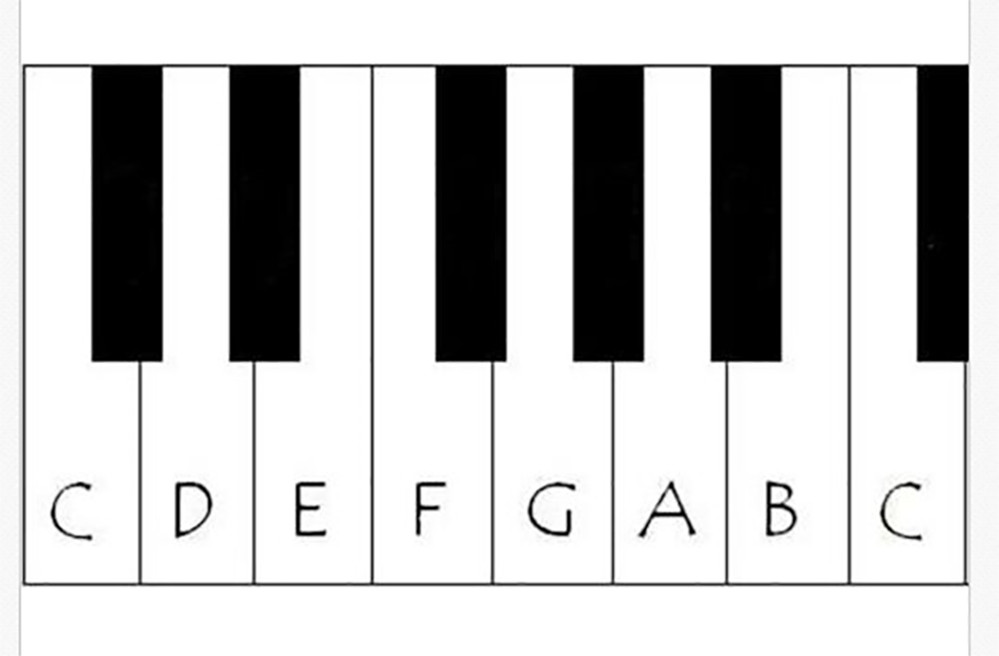 CASIO Replacement Key for Casio CZ-1000, CZ-2000S, CZ-3000, CZ-5000