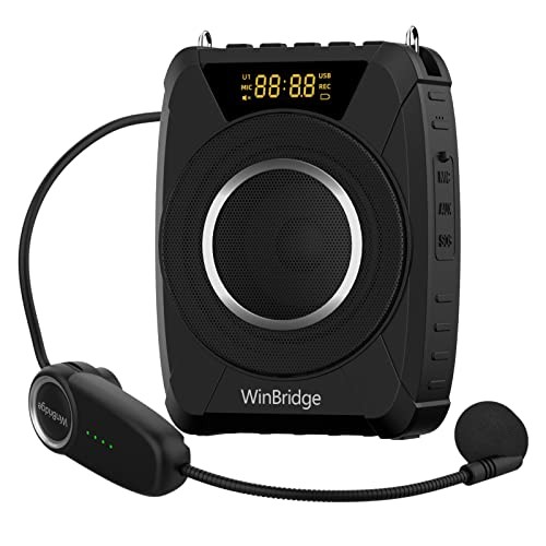 Voice Amplifier Wireless Microphone, 20W Portable PA System with Bluetooth &