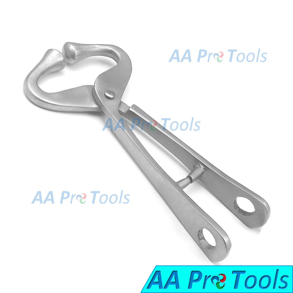 AA Pro: Bull Holder With Hole Hook & Chain Light Pattern