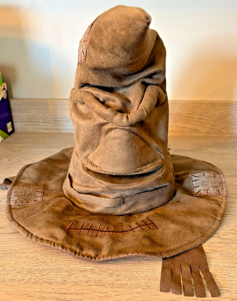 Harry Potter Wizarding World Interactive Talking Sorting Hat Tested & Working