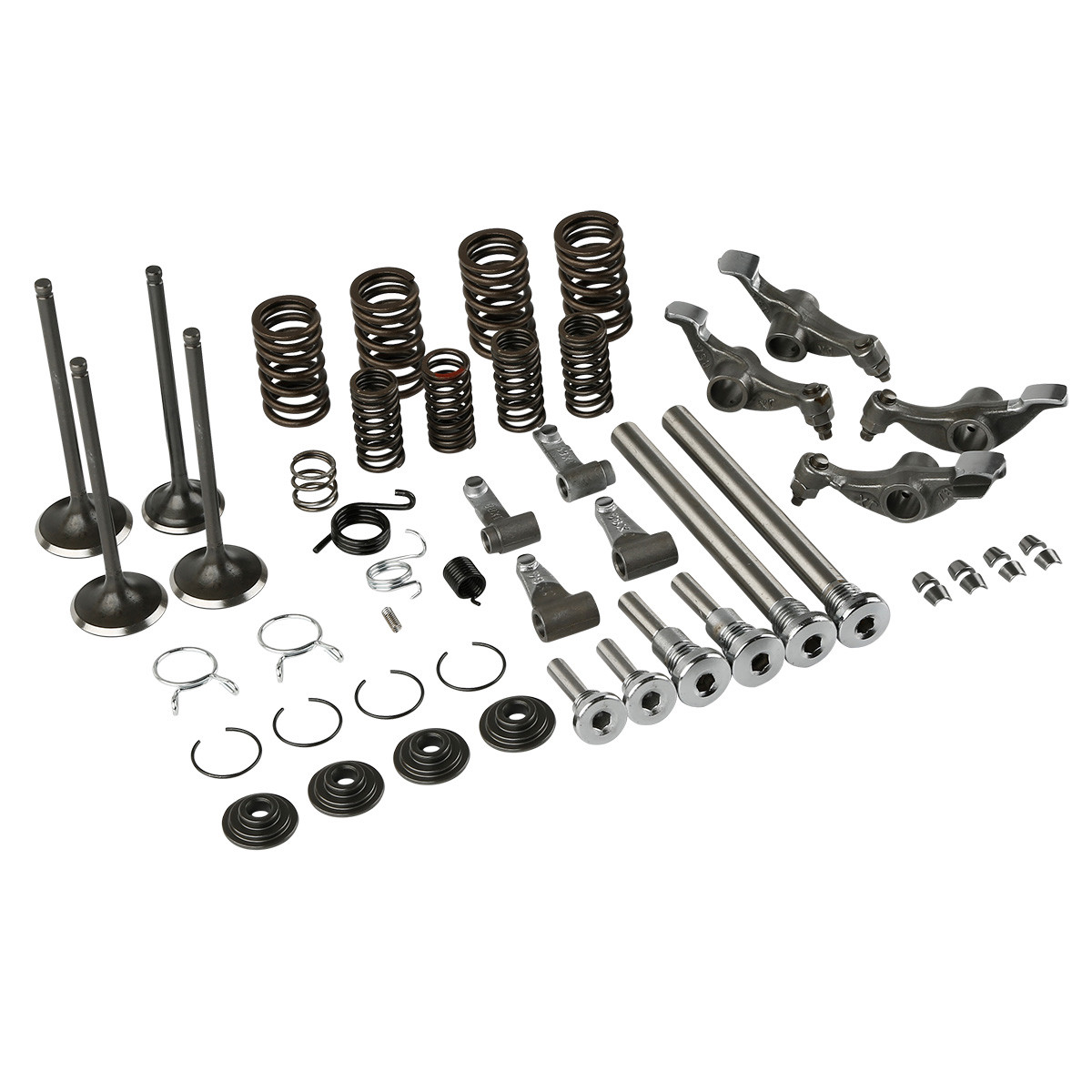 Cylinder Head Intake Valve Rebuild Kit Fit For Honda Sportrax TRX400EX 1999-2008