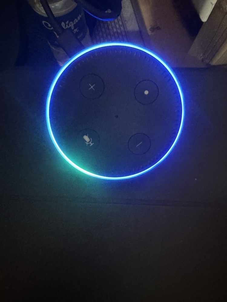 Amazon Echo Dot (2nd Generation) Smart Speaker Blk RS03QR W/ Charger Tested