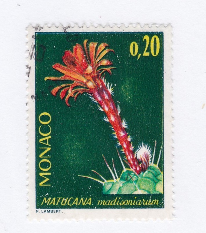 Monaco        956            used