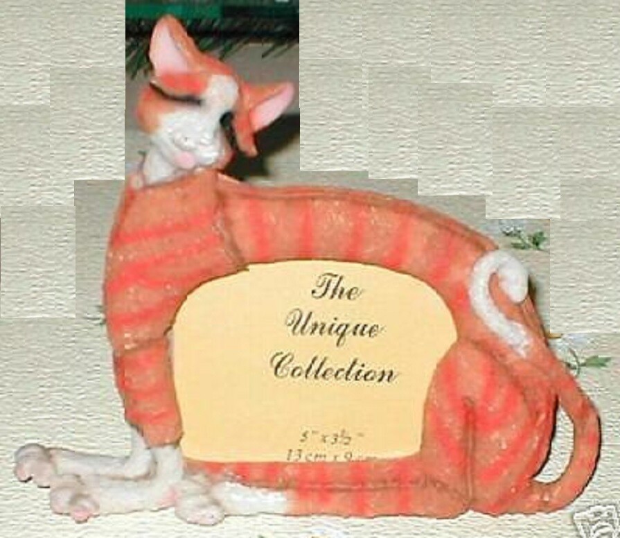 Cute CAT Picture frame --