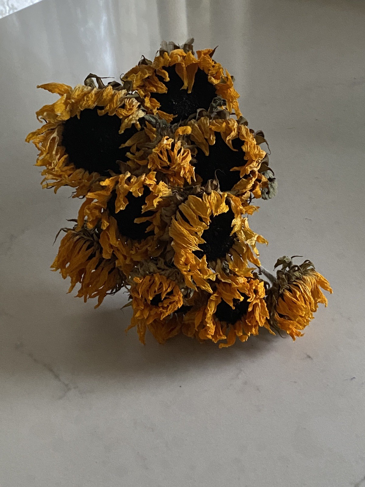 SUNFLOWERS Orange DRIED FLOWER Bunch BOUQUET Bundle USA Grown SUN FLOWERS Auc#1