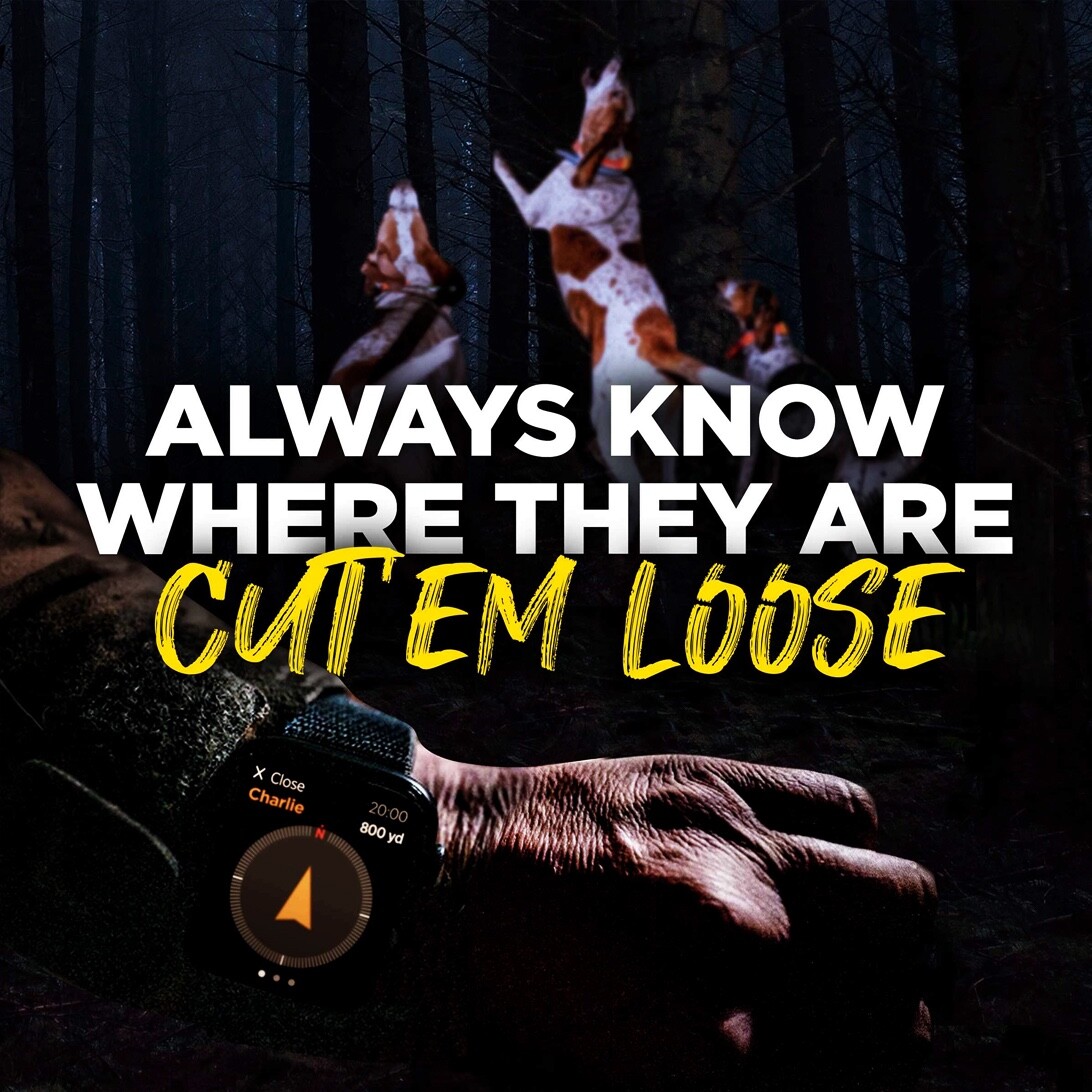 Dogtra PATHFINDER2 GPS Dog Tracking & Training Collar E-Fence LED Light