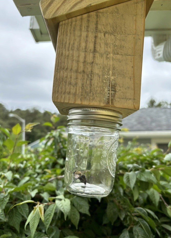 2 Carpenter Bee Traps W/ Jars