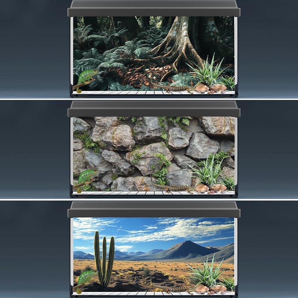 COMSUN 3 Pack Terrarium Background, 36x18 inches Inch, Multicolor