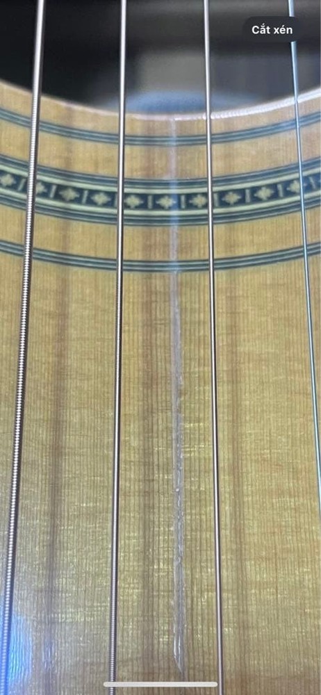 Yamaha L8 first term Safe Packing!