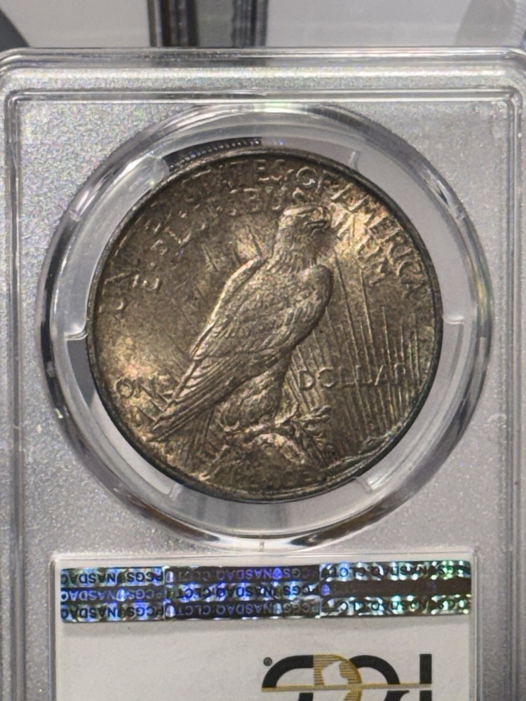 BEAUTIFUL! 1923-D Peace Silver Dollar, PCGS MS-64!