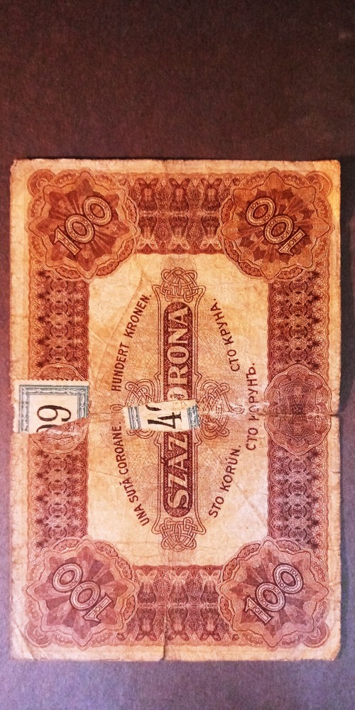 1920 Hungary 100 Korona Circulated