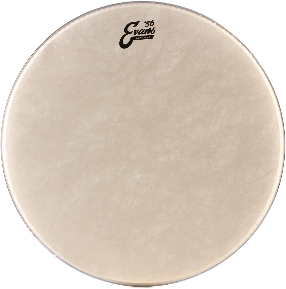 Evans Calftone Drumhead - 18"