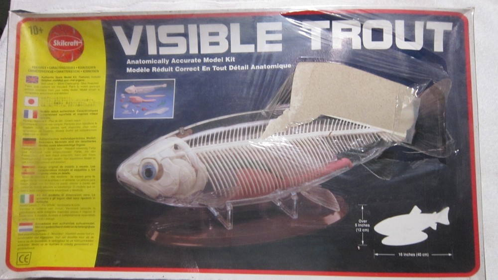 SKILCRAFT VISIBLE TROUT MODEL KIT SKILL LEVEL 2 AGES 10+